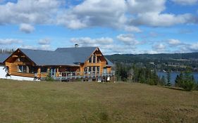 Black Bear B&b